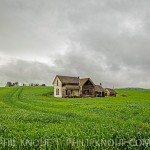 An abandoned and forlorn farmstead in rolling wheat fields in the Palouse of south eastern Washington state.