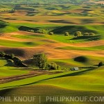 The glow of late afternoon and long shadows provides for dramtic light of the Palouse region of Washington.