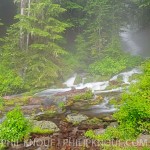 The cold spring water creates it own fog in warm, rain moistened air at Big Spring Creek Falls.