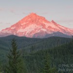 Alpine Glow On Mt. Hood Oregon