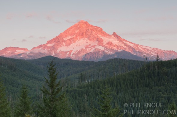 Alpine Glow On Mt. Hood Oregon (Philip A. Knouf)