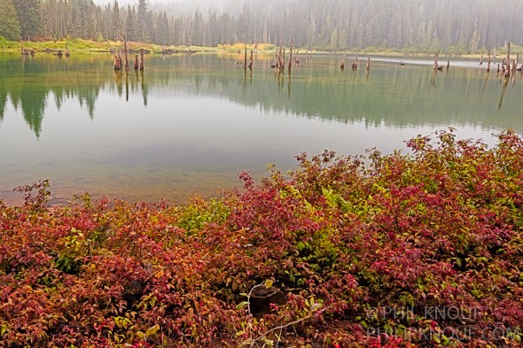 Falls colors reflected in the surface of Goose Lake (Philip A. Knouf)