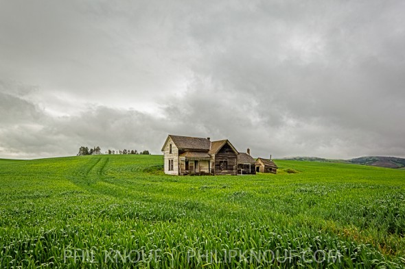 An abandoned and forlorn farmstead in rolling wheat fields in the Palouse of south eastern Washington state. (Philip A. Knouf)