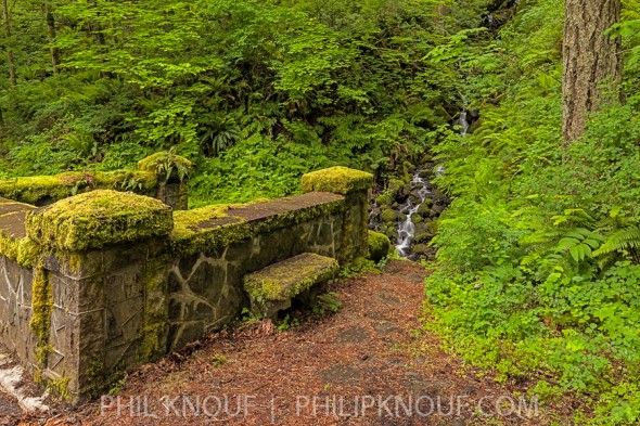 Rugged stone work shows the craftsmanship from the 1916 construction of the historic Columbia Gorge Highway. (Philip A. Knouf)